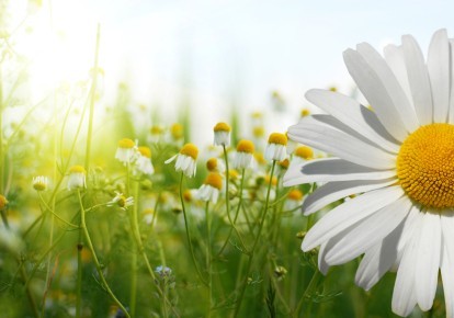 Testna novica lorem ipsum 2