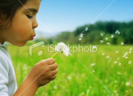 Lorem Ipsum is simply dummy text A